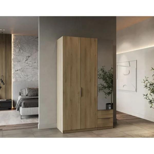 Armoire 3 portes 2 tiroirs 1 miroir L119 cm THIBAULT