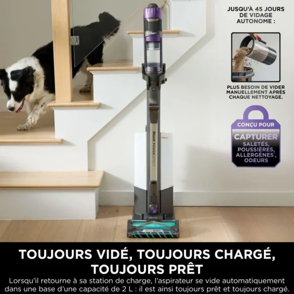 Aspirateur balai PowerDetect avec base de vidage automatique IP3251EUT