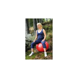 Ballon de yoga Ball 65cm