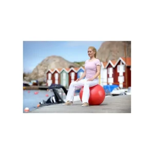 Ballon de yoga Ball 65cm