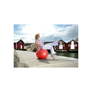 Ballon de yoga Ball 65cm