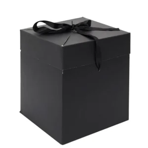 Boîte Cadeau Pliable Festif 20cm Noir