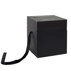 Boîte Cadeau Pliable Festif 20cm Noir