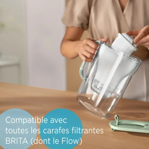 BRITA Pack de 4 cartouches filtrantes MAXTRA PRO All-in-1