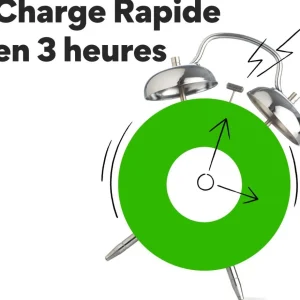 Chargeur secteur + LR06 AA x4 2100mAh + station de charge