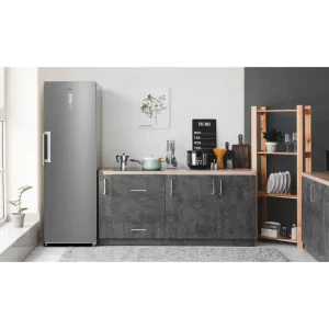 Congélateur armoire convertible Q.6828, 273 L, Sans givre, A