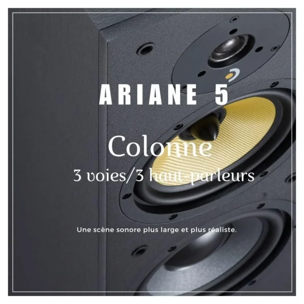 Enceinte colonne ARIANE 5 Noir (x1)