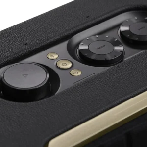 Enceinte portable Authentics 300