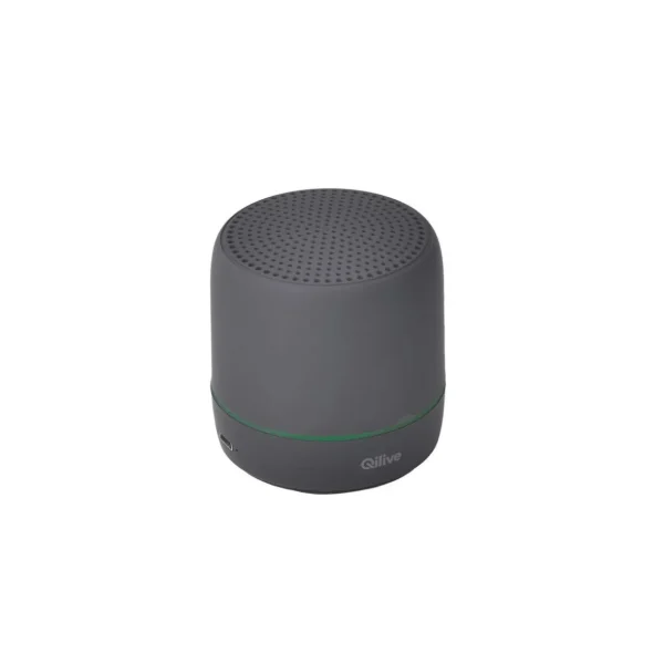 Enceinte portable Q1769 - Noire