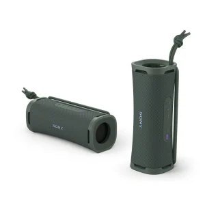 Enceinte portable sans fil Bluetooth ULT Field 1 - Gris forêt