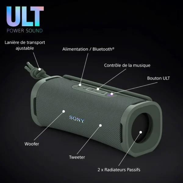 Enceinte portable sans fil Bluetooth ULT Field 1 - Gris forêt