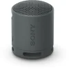 Enceinte portable SRS-XB100 Noir Basalte