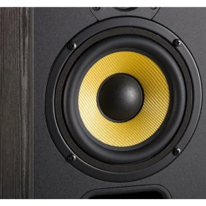 Enceinte surround ARIANE 1 Frene noir x 2