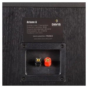 Enceinte surround ARIANE A Noir x 2