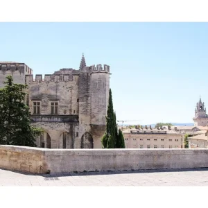 2 entrées adulte pour le Palais des Papes et les jardins à Avignon - Coffret Cadeau Sport & Aventure