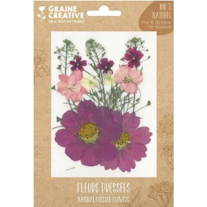 14 fleurs pressées - prairie parme