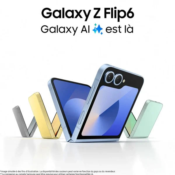 Galaxy Z Flip6 256Go - Gris