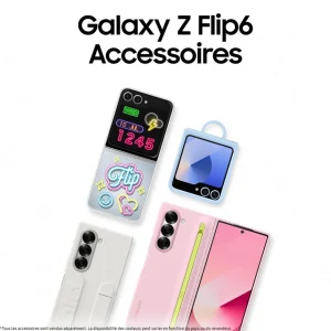 Galaxy Z Flip6 256Go - Gris