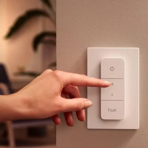 Interrupteur HUE Dimmer switch V2