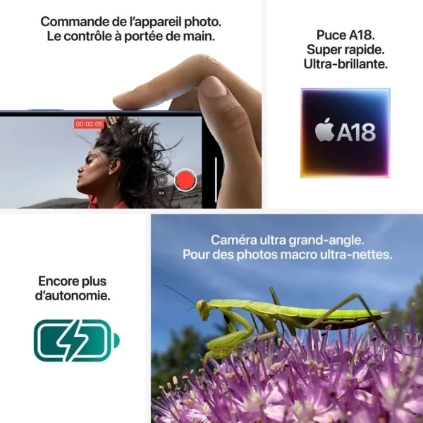 iPhone 16 256Go - Vert Sarcelle
