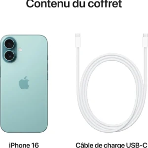 iPhone 16 256Go - Vert Sarcelle