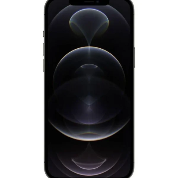 iPhone 12 Pro Max reconditionné 512 Go - Grade C - Gris