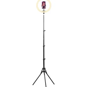 Lampe LED Influence Anneau led 12''