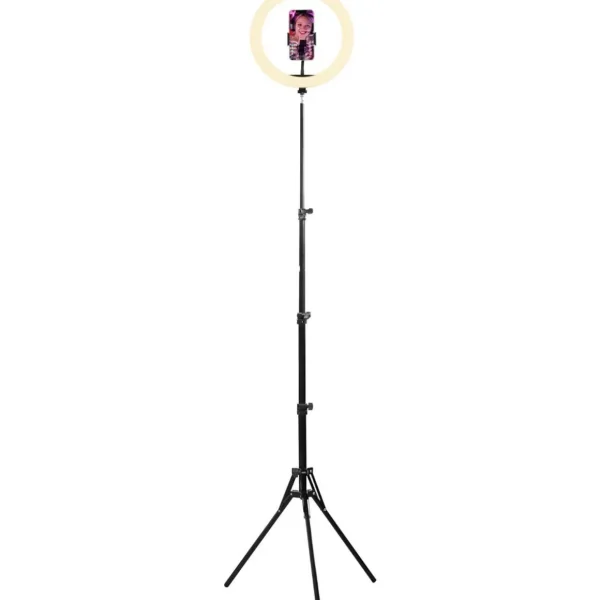 Lampe LED Influence Anneau led 12''