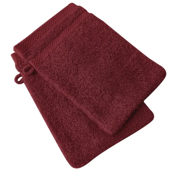 Lot de 2 gants de toilette uni en coton 500g