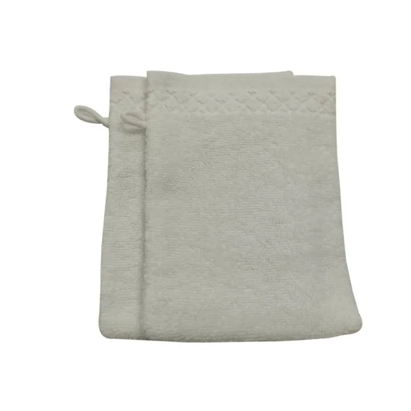 Lot de 2 gants de toilette uni en coton 600g