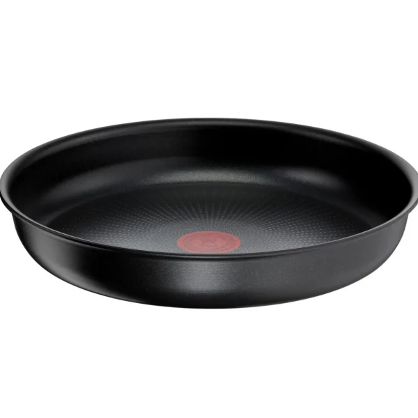 Poêle induction INGENIO recy cook 22 cm