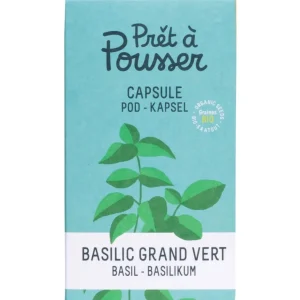 Recharge jardin d'intérieur BASILIC GRAND VERT