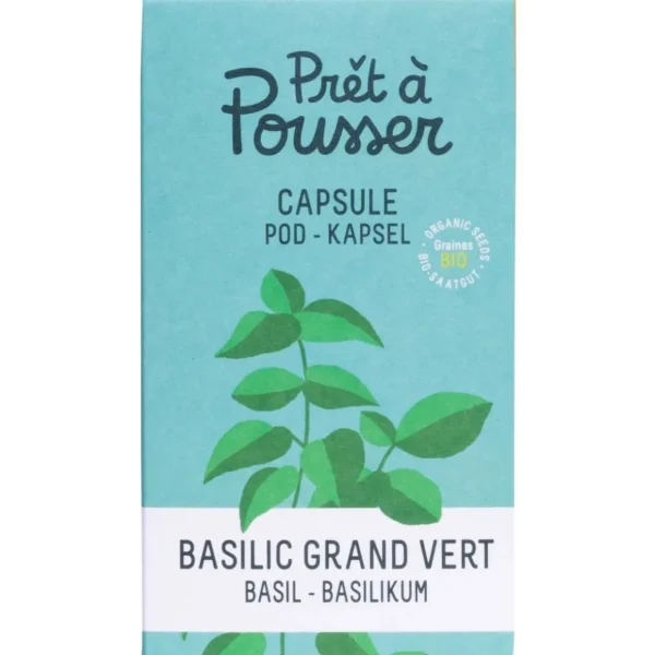 Recharge jardin d'intérieur BASILIC GRAND VERT