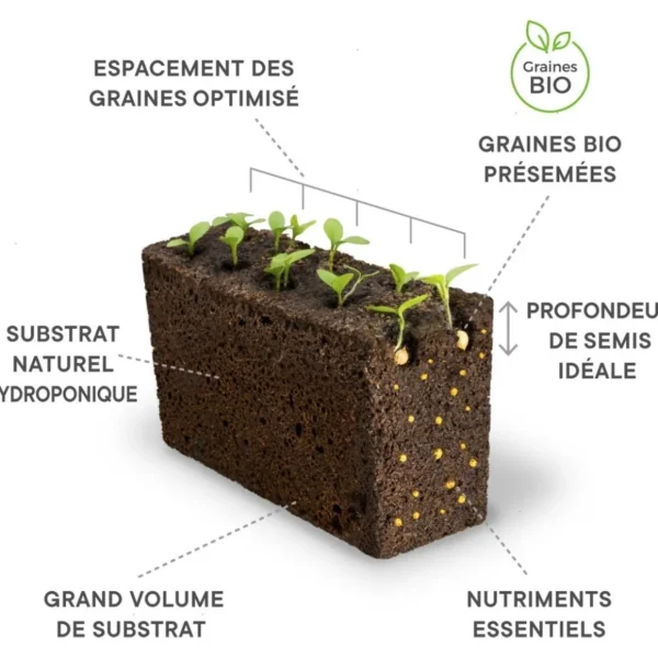 Recharge jardin d'intérieur Basilic Pourpre BIO