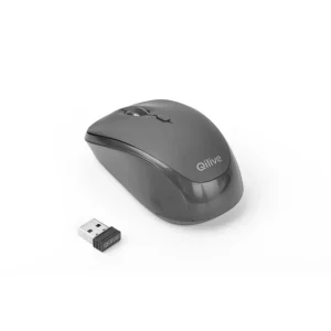 Souris sans fil basic - Noir