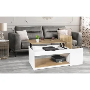 Table basse plateau relevable et coffre de rangement L60 cm LINE