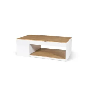 Table basse plateau relevable et coffre de rangement L60 cm LINE