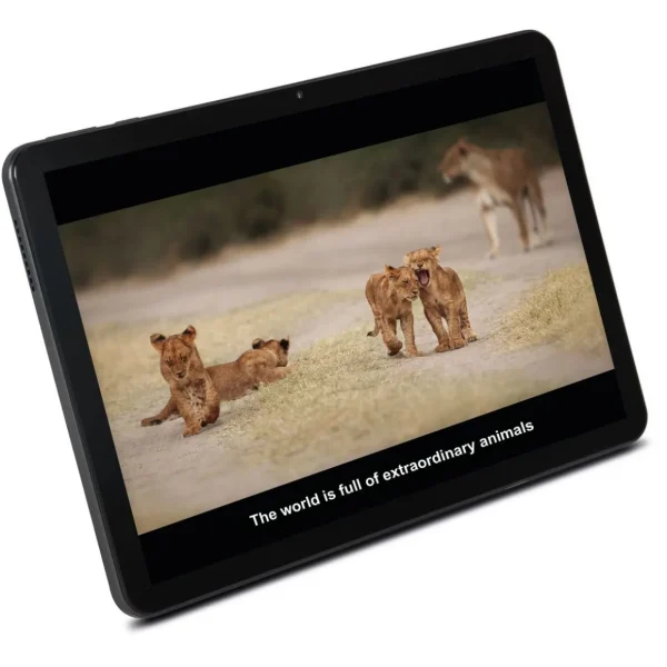 Tablette tactile High value Q2-2024 10.5