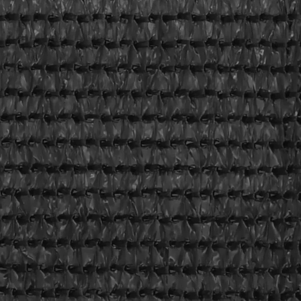 Tapis de tente 200x300 cm Anthracite