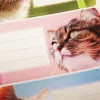 12 étiquettes adhésives scolaires - Rectangle - Photos de chats