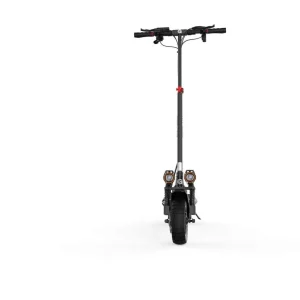 Trottinette électrique Ecross pro boost 2
